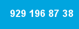 929 196 87 38 929 196 87 38